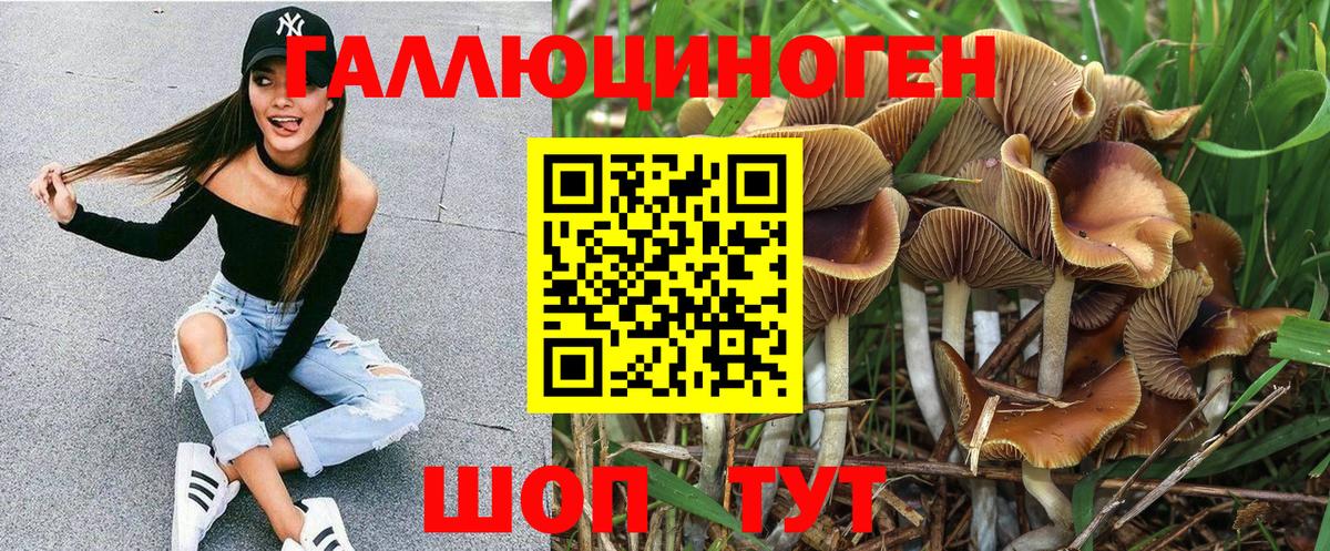 Белебей  Галлюциногенные грибы Cubensis  где можно купить наркотик  Вход с VPN 